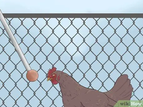 Приручить цыплят, шаг 17