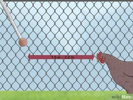 Приручить цыплят, шаг 18