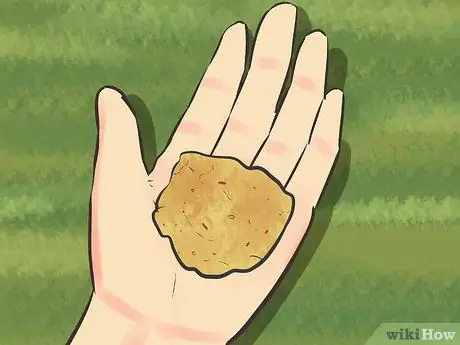 Приручить цыплят, шаг 8