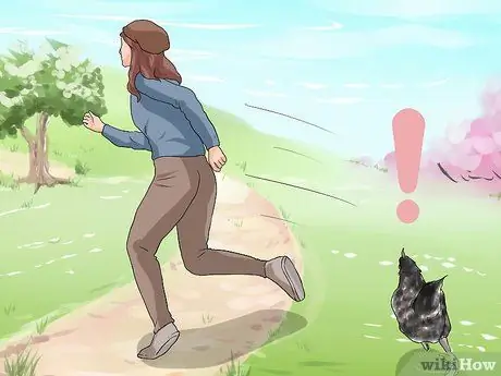 Защититься от нападающего петуха Шаг 4