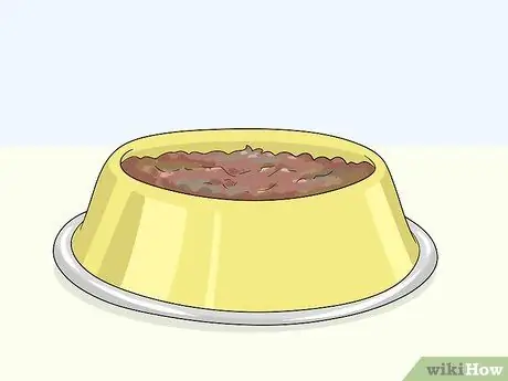 Кормление цыплят отходами со стола Шаг 13