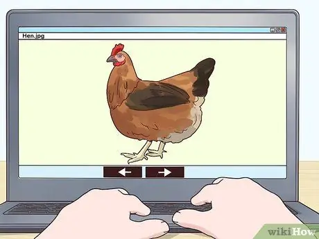 Переделайте своих цыплят, шаг 18