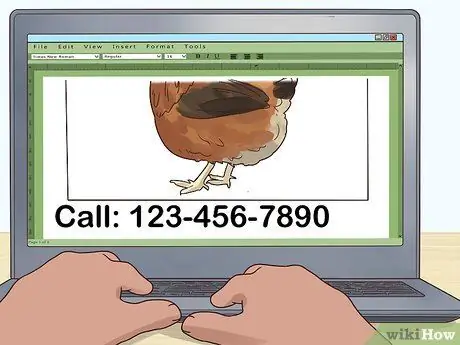 Переделайте своих цыплят, шаг 19