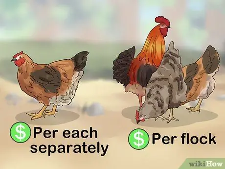 Переделайте своих цыплят, шаг 4