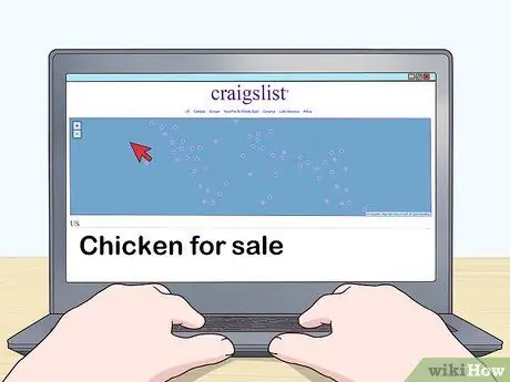 Переделайте своих цыплят, шаг 8