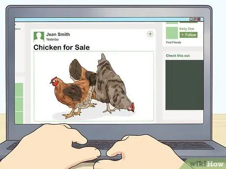 Переделайте своих цыплят, шаг 9