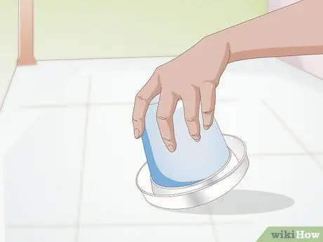 Правильный уход за цыплятами и цыплятами постарше Шаг 2