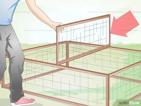 Правильный уход за цыплятами и взрослыми цыплятами Шаг 6