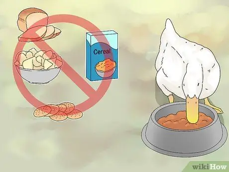 Покормить уток Шаг 11