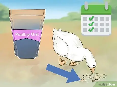 Покормить уток, шаг 4