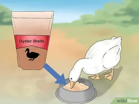 Покормить уток Шаг 5