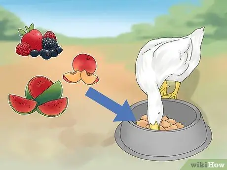 Покормить уток Шаг 7