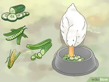 Покормить уток Шаг 8