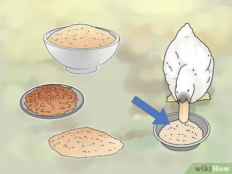 Покормить уток Шаг 9