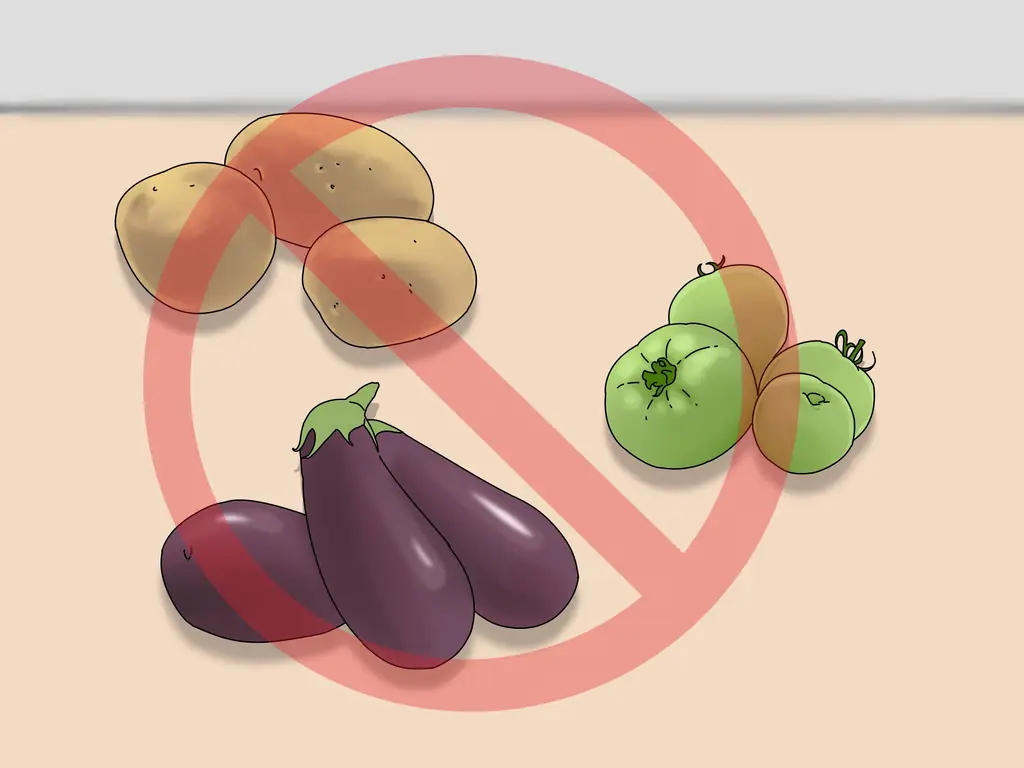 3 способа кормления уток