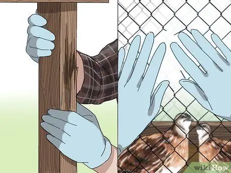 Создайте среду обитания для перепелов Шаг 14