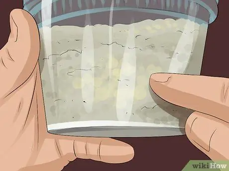 Покормить перепелов Шаг 12