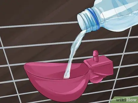 Покормить перепелов Шаг 14