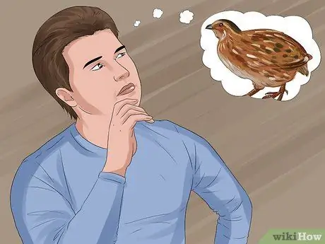 Покормить перепелов Шаг 15