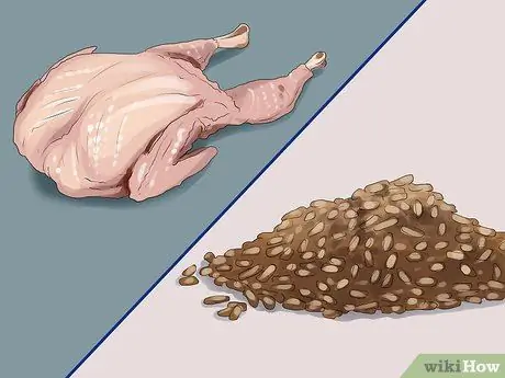 Покормить перепелов Шаг 16