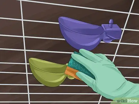 Покормить перепелов Шаг 5