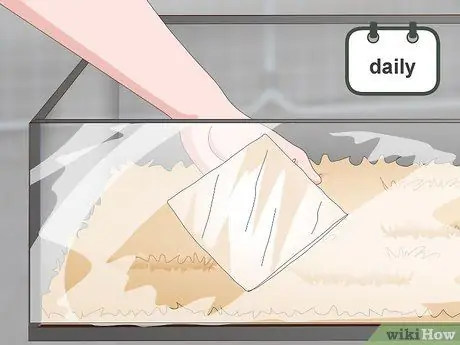 Уход за цыплятами перепелов Шаг 12