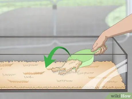 Уход за цыплятами перепелов Шаг 4