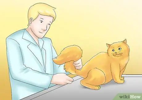 Уход за кошкой с почечной недостаточностью Шаг 12 Уход за кошкой с почечной недостаточностью Шаг 12