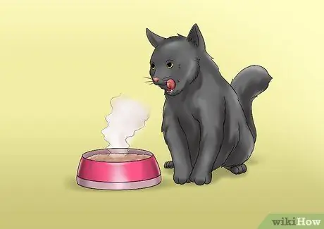 Уход за кошкой с почечной недостаточностью Шаг 3 Уход за кошкой с почечной недостаточностью Шаг 3