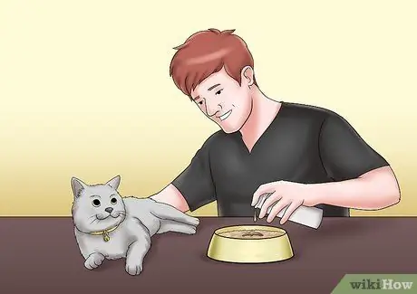Уход за кошкой с почечной недостаточностью Шаг 4 Уход за кошкой с почечной недостаточностью Шаг 4