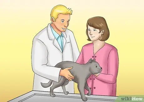 Уход за кошкой с почечной недостаточностью Шаг 9 Уход за кошкой с почечной недостаточностью Шаг 9