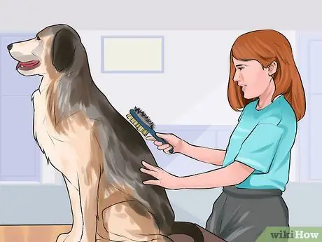 Привлекайте детей к выбору собаки Шаг 11