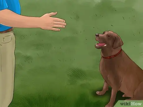 Не позволять щенку лаять Шаг 13