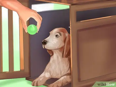 Ящик приручите собаку или щенка Шаг 8