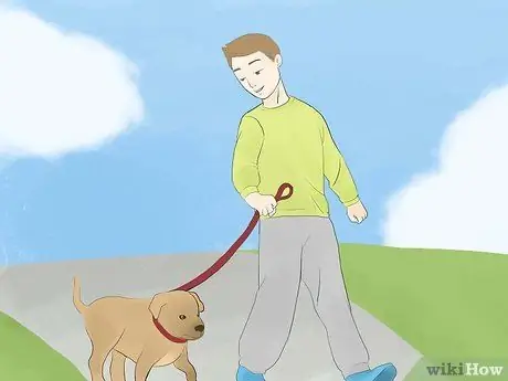 Успокойте гиперактивную собаку Шаг 4