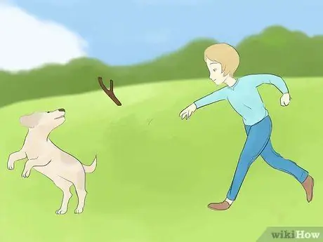 Успокойте гиперактивную собаку Шаг 6