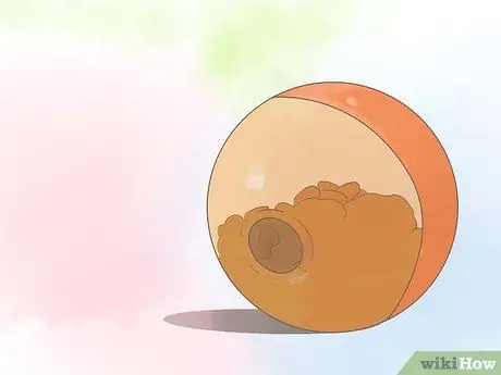 Успокойте гиперактивную собаку Шаг 7