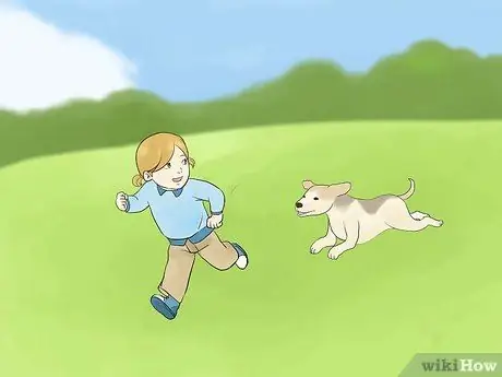 Успокойте гиперактивную собаку Шаг 8