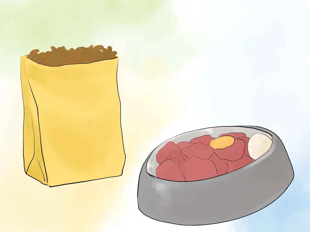 3 способа успокоить гиперактивную собаку