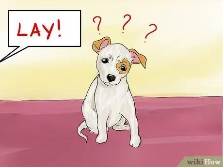 Научите маленькую собаку ложиться на шаге 9 команды