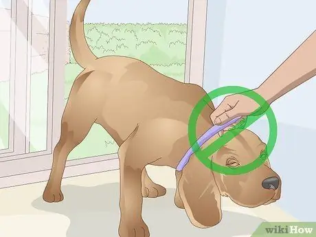 Заставьте собаку войти в дом Шаг 10