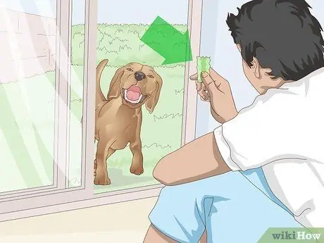 Заставьте собаку войти в дом Шаг 2