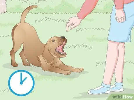 Заставьте собаку войти в дом Шаг 7