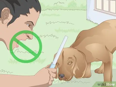 Заставьте собаку войти в дом Шаг 9