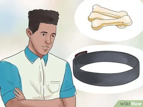 Научите собаку бегать с места, шаг 5