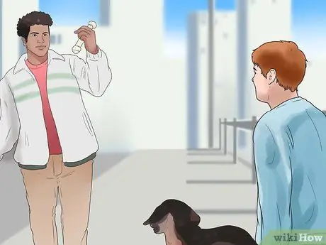 Научите собаку бегать с места, шаг 7