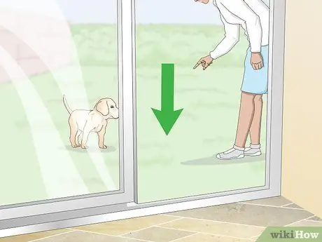 Приучить маленьких собак к горшку, шаг 2