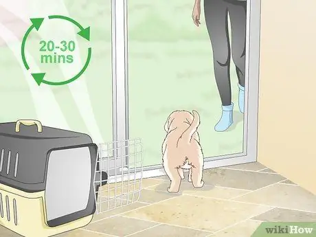 Приучить маленьких собак к горшку, шаг 3