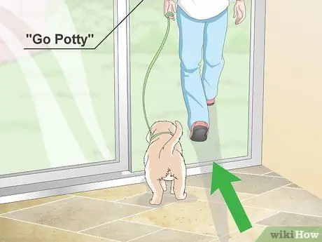 Приучить маленьких собак к горшку, шаг 5