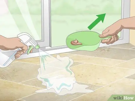 Приучить маленьких собак к горшку Шаг 8